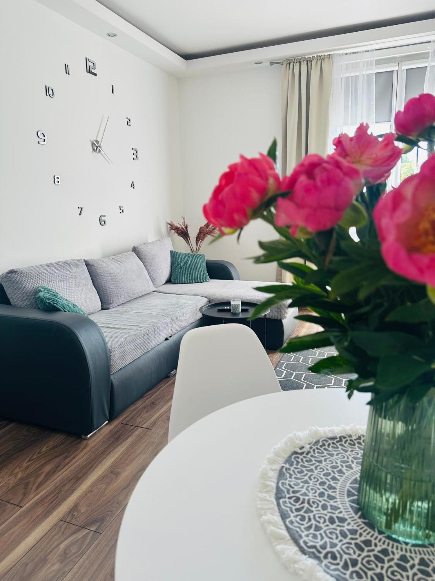 City Apartment Czestochowa Centrum 2-Bedroom Esterno foto